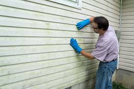 Best Wood Siding Installation  in Pleasure Point, CA